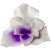 Naglar Fimo Flowers Light Purple - 25