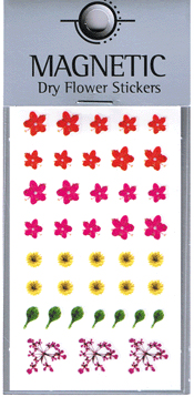 Naglar Magnetic Dry Flower Sticker - 001