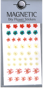 Naglar Magnetic Dry Flower Sticker - 006